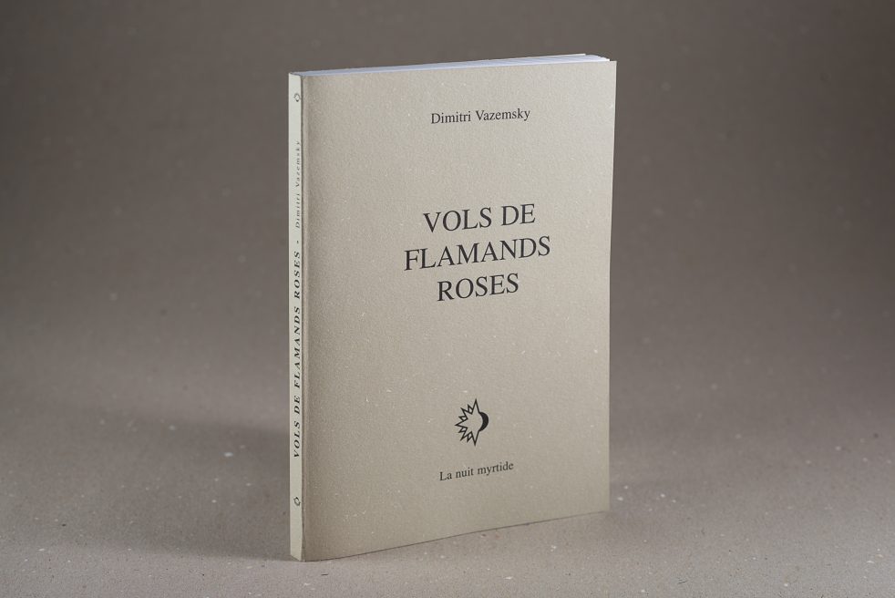 vols de flamands roses